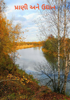 પ્રાણી અને ઉદ્યાન