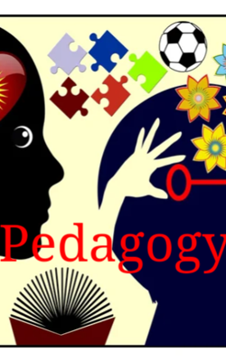 Pedagogy