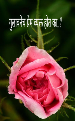 गुलाबनेच प्रेम व्यक्त होत का..?