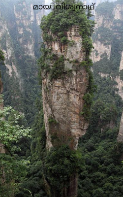 മായ  വിശ്വനാഥ്