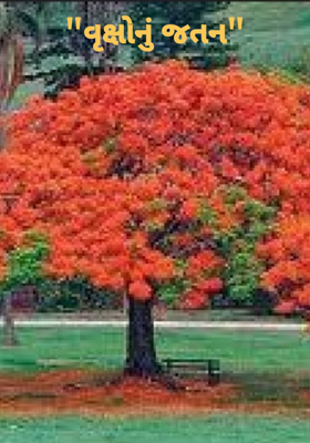 વૃક્ષોનું જતન