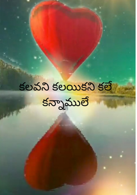 కలవని కలయికని కలే కన్నాములే