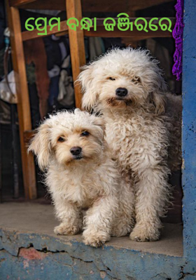 ପ୍ରେମ ବନ୍ଧା ଜଞ୍ଜିରରେ