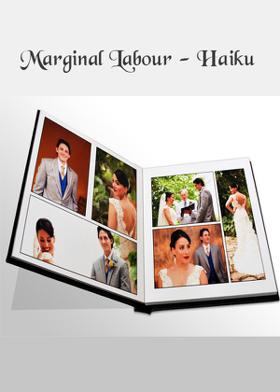 Marginal Labour - Haiku