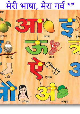 मेरी भाषा, मेरा गर्व