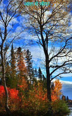 आशा से जीवन