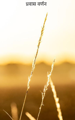प्रवास वर्णन 