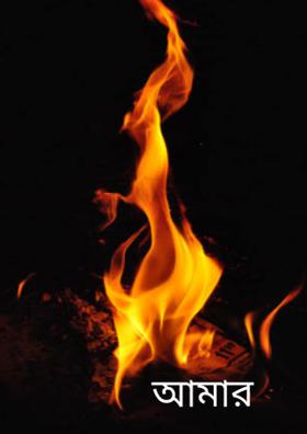 আমার হামলায়