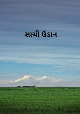 સાચી ઉડાન