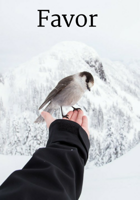 Favor
