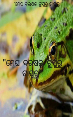 ମେଘ ବରଷଇ ଟୁପୁରୁ ଟାପୁରୁ