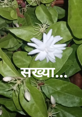 सख्या...