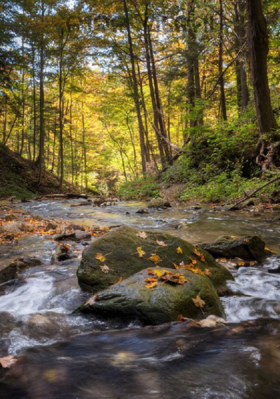 ଜୀବନ ସିନେମା