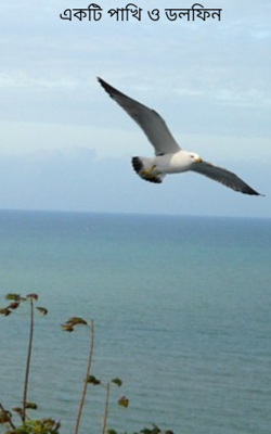 একটি পাখি ও ডলফিন