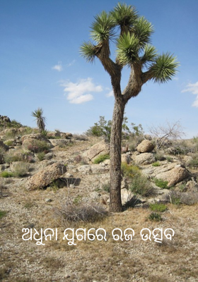 ଅଧୁନା ଯୁଗରେ ରଜ ଉତ୍ସବ