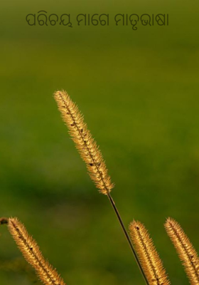 ପରିଚୟ ମାଗେ ମାତୃଭାଷା