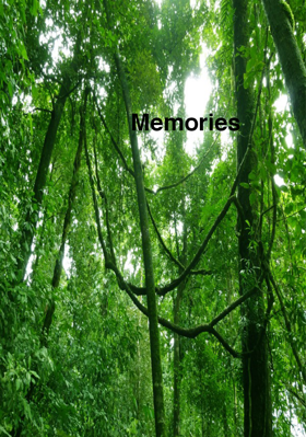 Memories