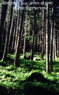श्रीमद्भागवत -२८७ः भगवान श्री कृष्ण के लीला विहार का वर्णन