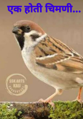 एक होती चिमणी...