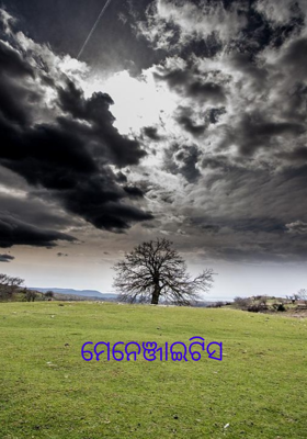 ମେନେଞ୍ଜାଇଟିସ