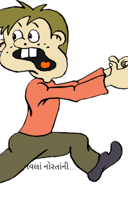 નવલાં નોરતાંની