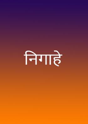 निगाहें