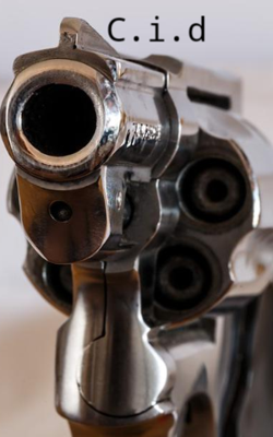 સી.આઈ.ડી.