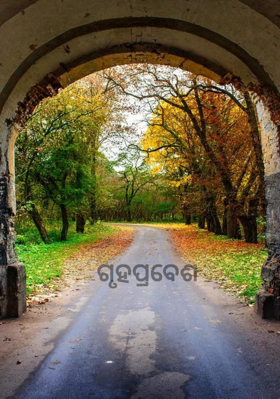 ଗୃହପ୍ରବେଶ