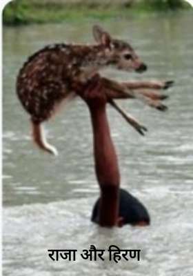 राजा और हिरण