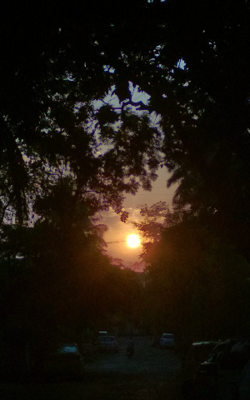 शुक्रवार नव्या उमेदीचा..!