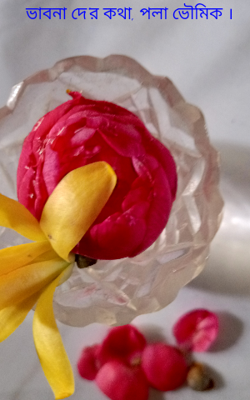 ভাবনা দে'র কথা,