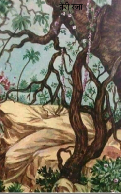 तेरी रज़ा