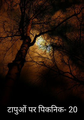 टापुओं पर पिकनिक- 20