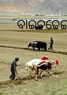 ବାଇଚଢେଇ ର ବସା