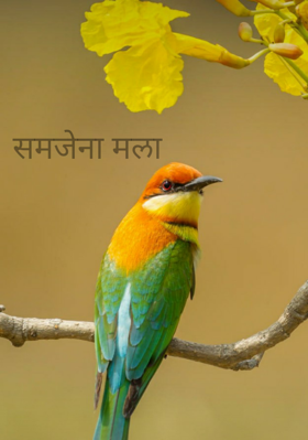 समजेना मला