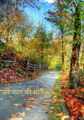 मेरे प्यार की गली