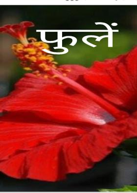 फुले