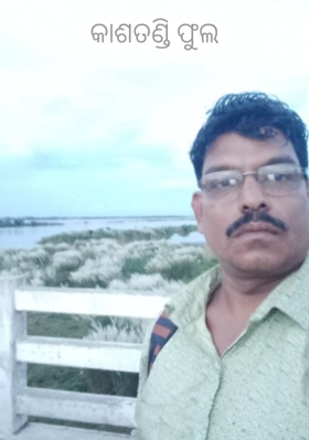 କାଶତଣ୍ଡି ଫୁଲ