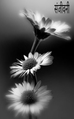 संजीवनी