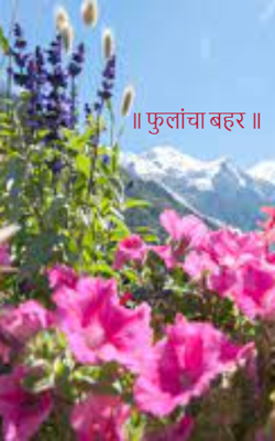 ॥ फुलांचा बहर ॥