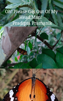 Oh! Please Get Out Of My Head,Man! _Pradipta Pramanik
