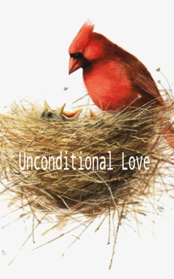 Unconditional Love