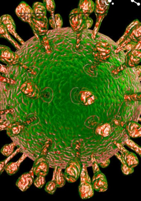 कर्फ्यू का आठवां दिन