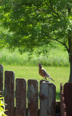 எந்த பருவம்