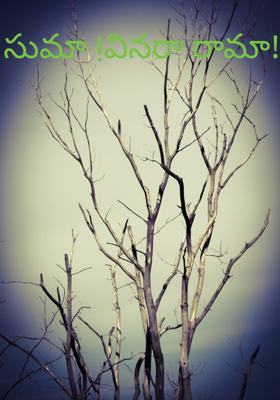 సుమా !వినరా రామా!