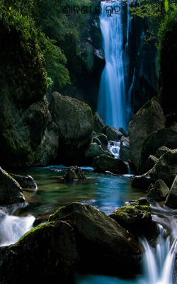 ଶ୍ରାବଣୀର ଲୁହ