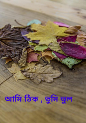 আমি ঠিক , তুমি ভুল