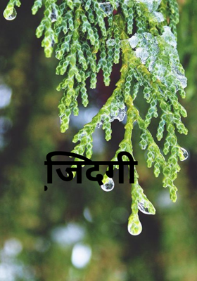 जि़दगी