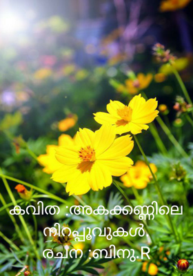 
കവിത :അകക്കണ്ണിലെ നിറപ്പൂവുകൾ.
രചന :ബിനു.R