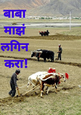 बाबा माझं लगिन करा!